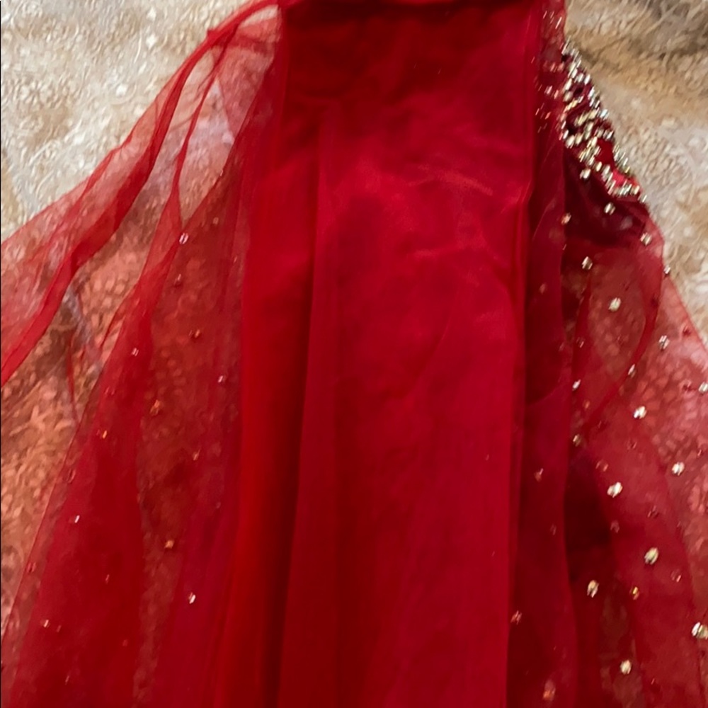 Red Net Sari - image 3